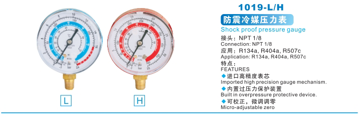 AXI-1019-L/H