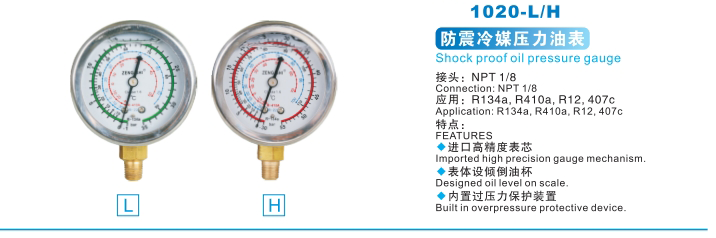 AXI-1020-L/H