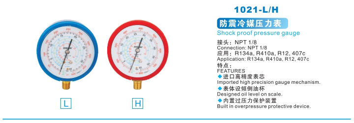 AXI-1021-L/H