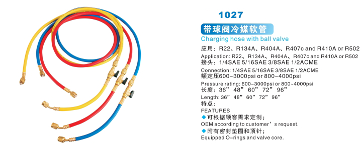 AXI-1027