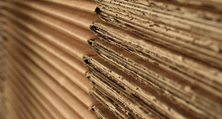 中國造紙工業2020年度報告