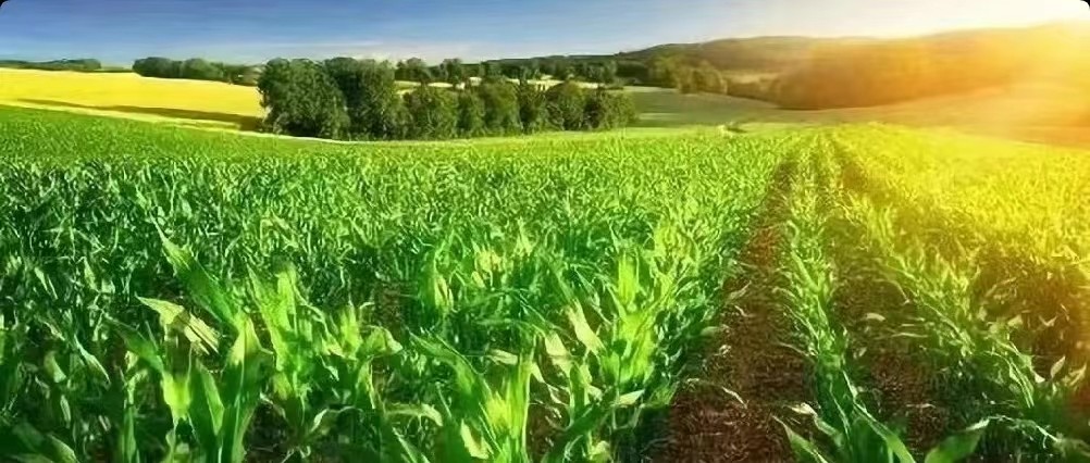 丰声 | 丰码科技获数千万融资 继续致力于发展绿色智能化种植技术