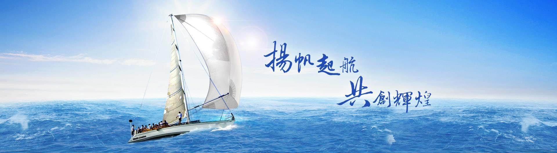 宁夏峰岳恒泰医药贸易有限公司