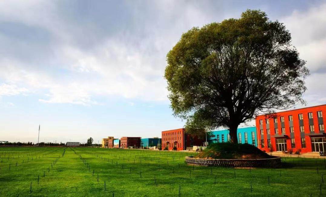 精卫小博士丨抑郁成因探索及抑郁问题解决路径指导方案（建议）