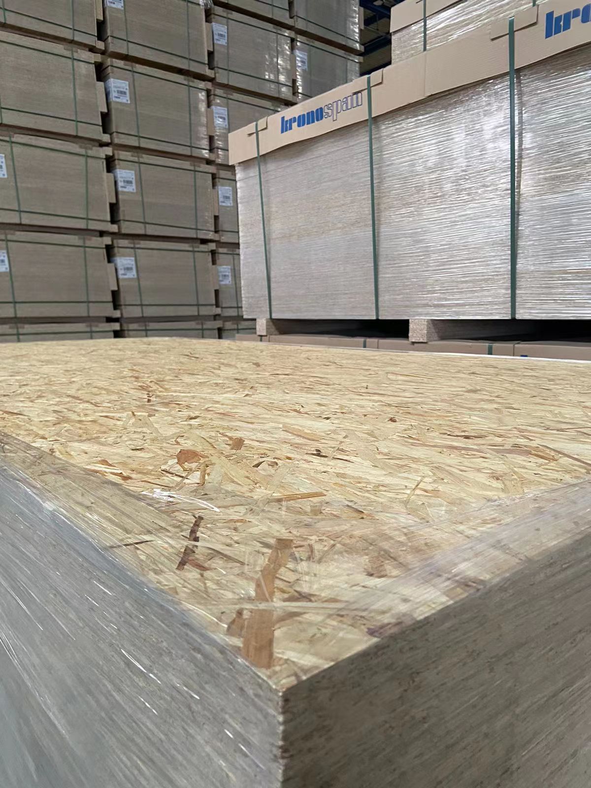 克诺斯邦中国经销商