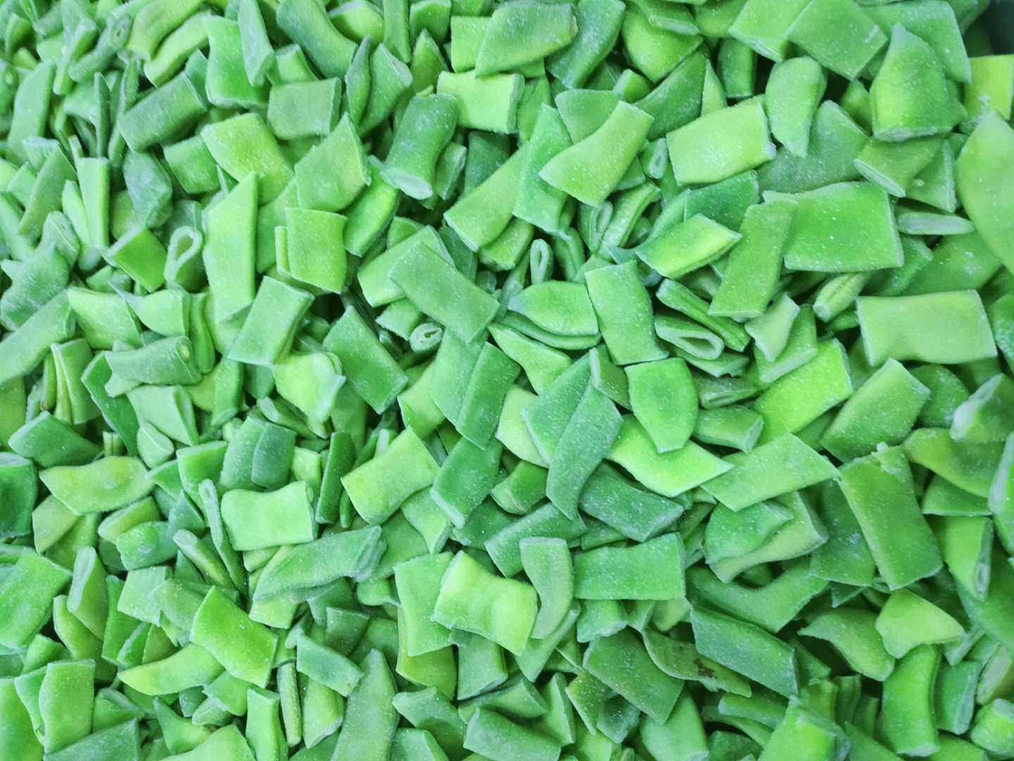 日照浩宝食品有限公司