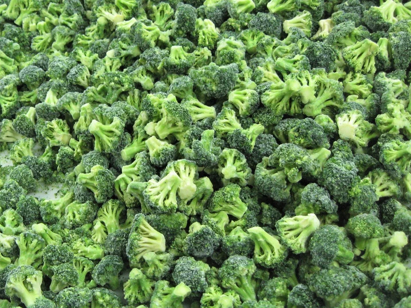 日照浩宝食品有限公司