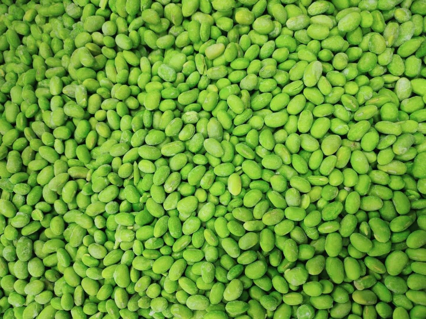 日照浩宝食品有限公司