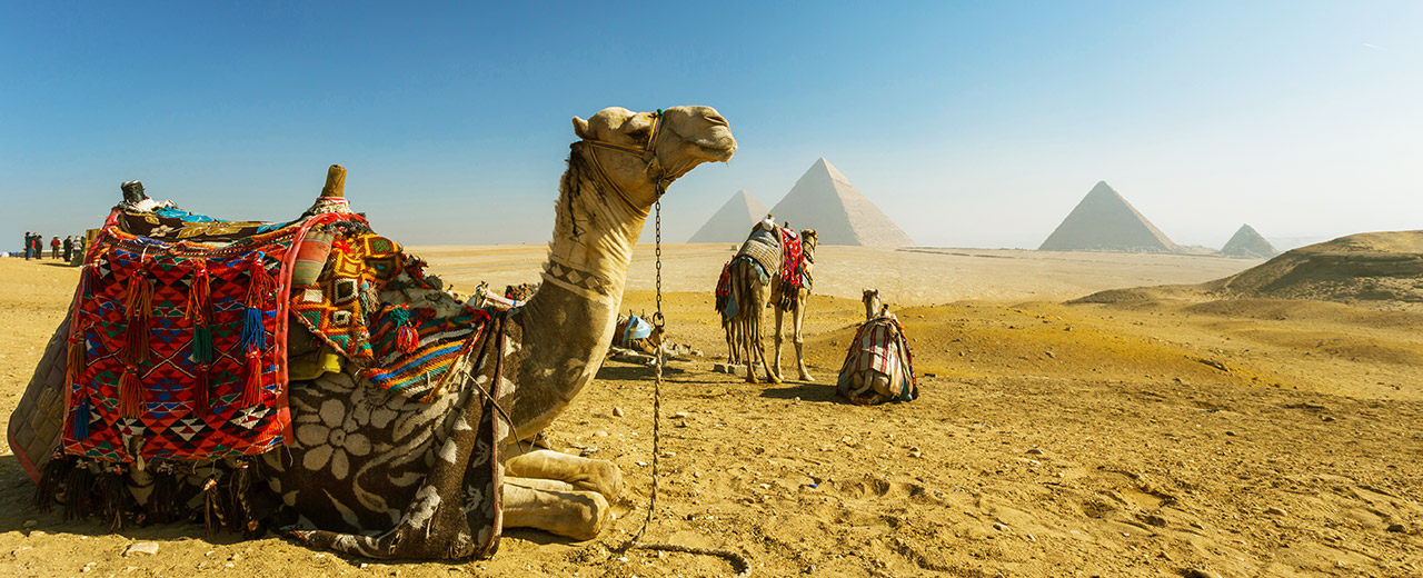 Rexway Dynasty Travel Services Kft