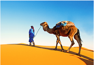 13 day reference itinerary from Taiwan to Morocco