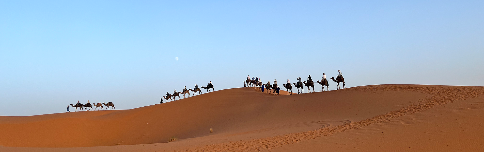 Rexway Dynasty Travel Services Kft