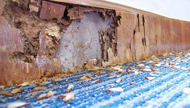 上海它山测检测技术有限公司