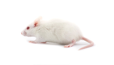 上海它山测检测技术有限公司