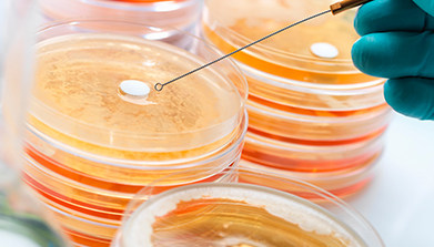 上海它山测检测技术有限公司