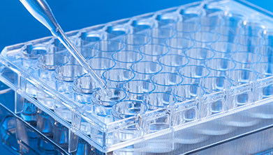 上海它山测检测技术有限公司