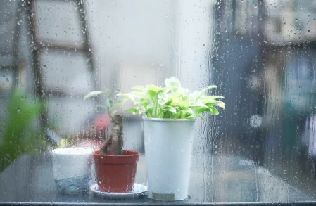 8条春季养生小常识,你做对了几条?