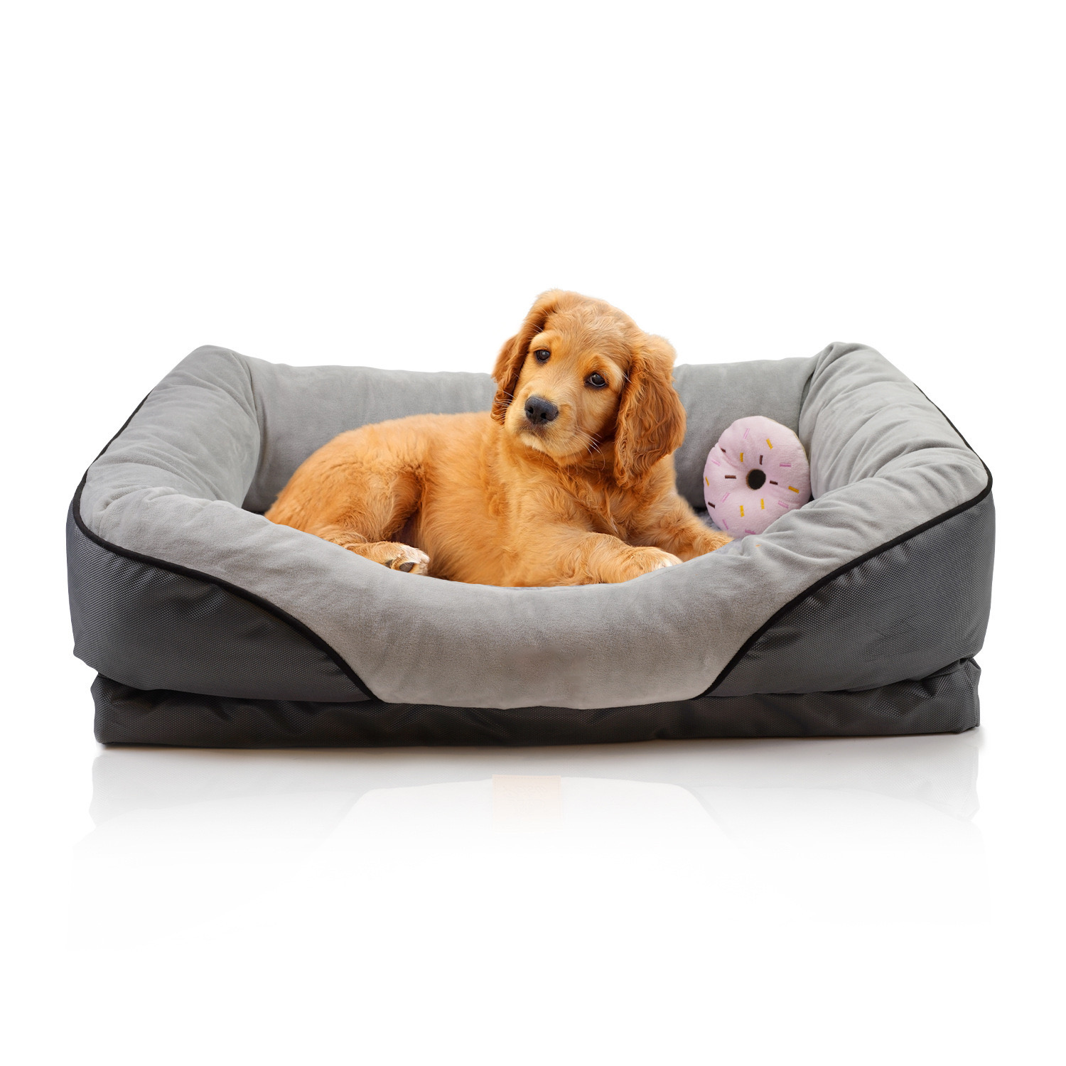 pet bed