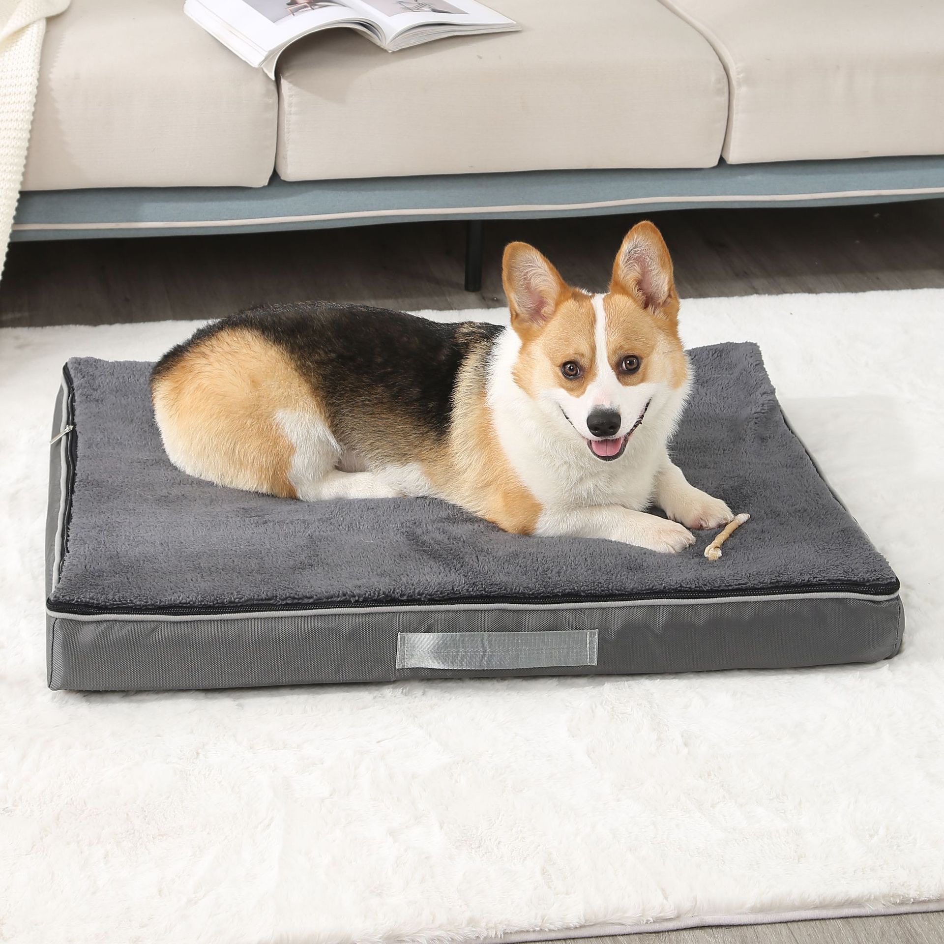 pet bed