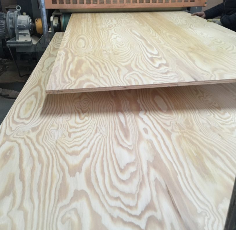 Pine plywood board 100% pine veneer face back poplar core plywood board