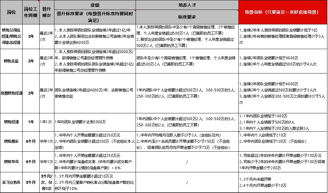 营销人员晋升和保级方案