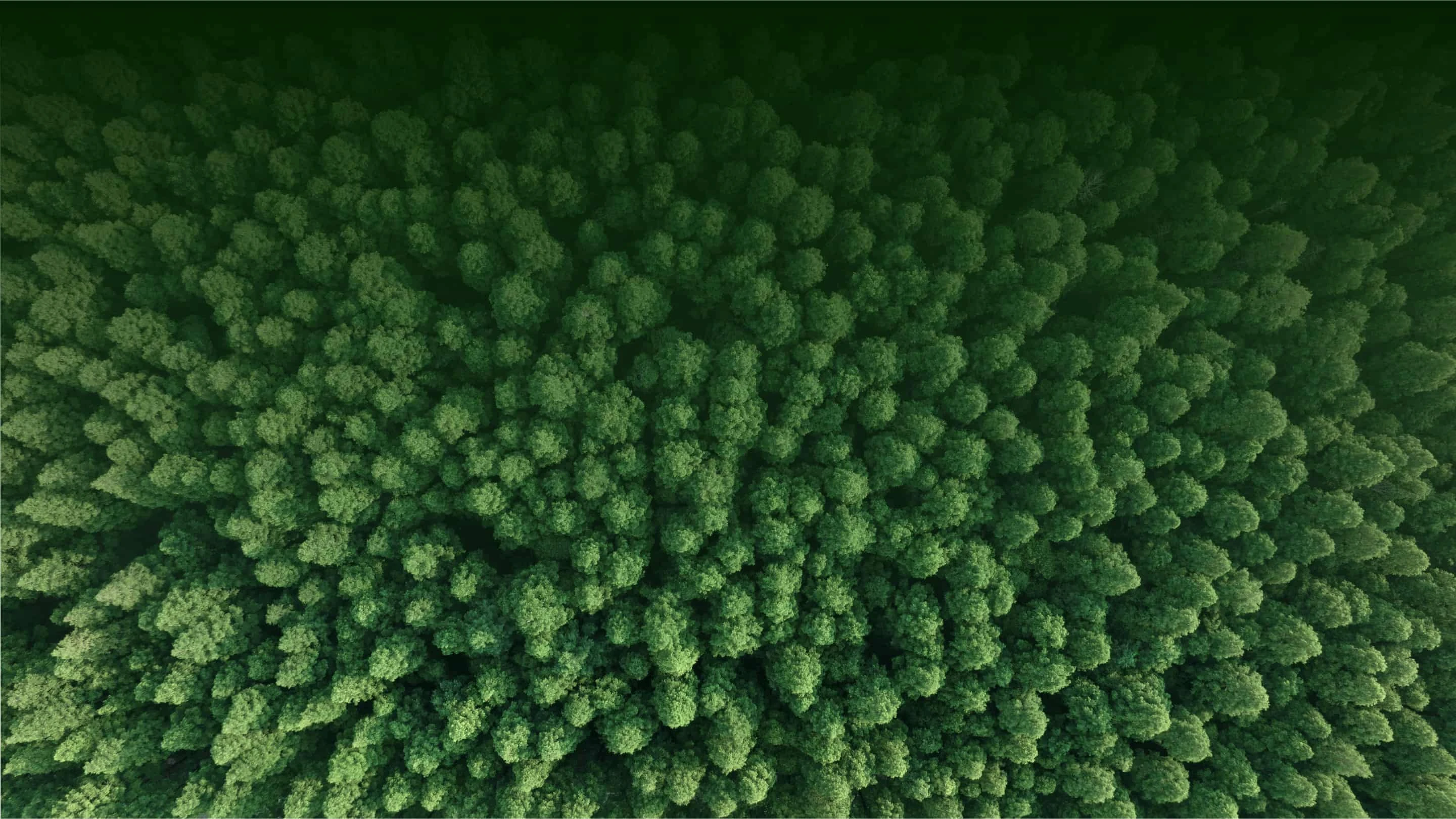 包装印刷成功案例