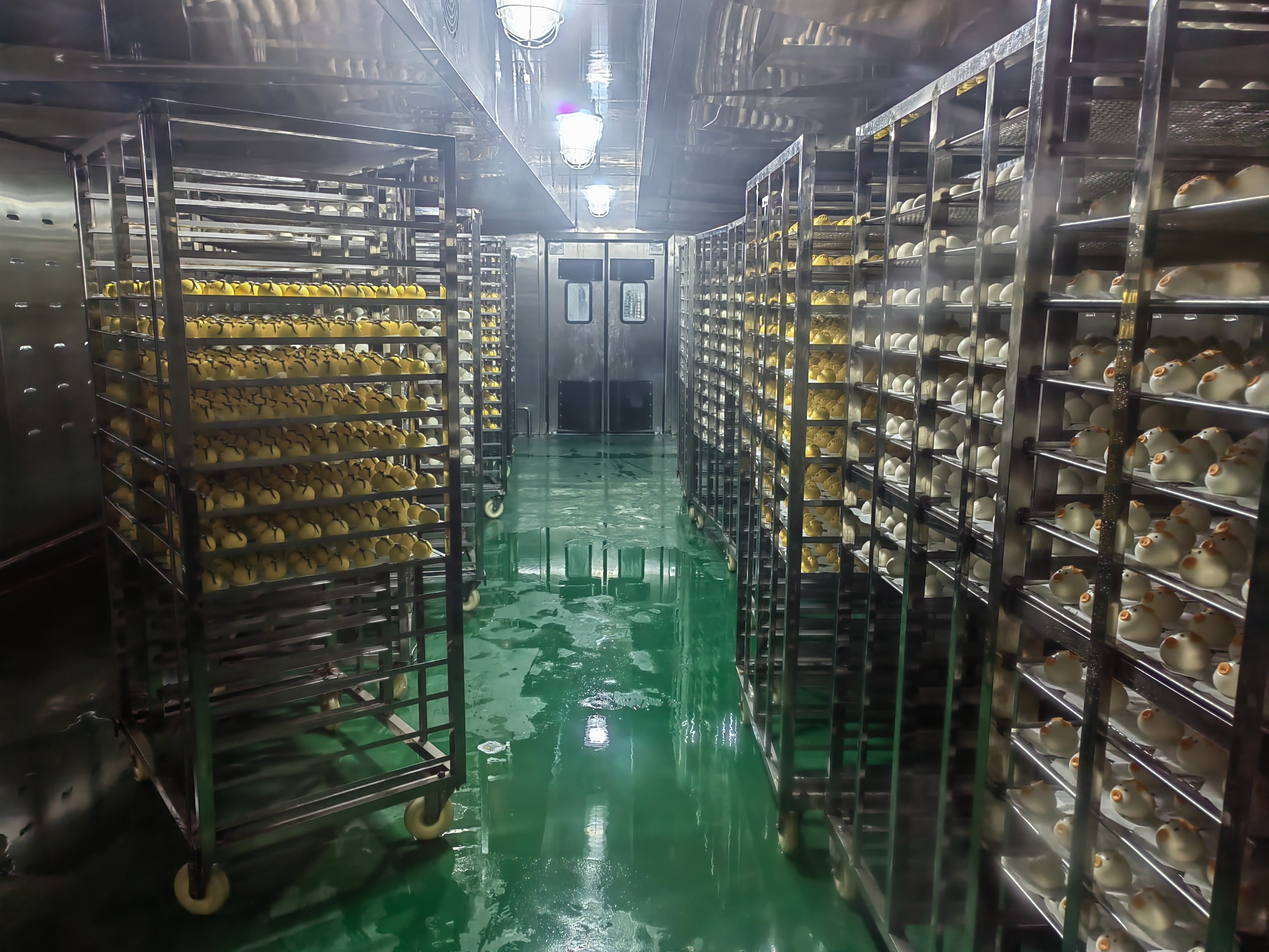 腾力醒发房：小型食品厂规模定制指南