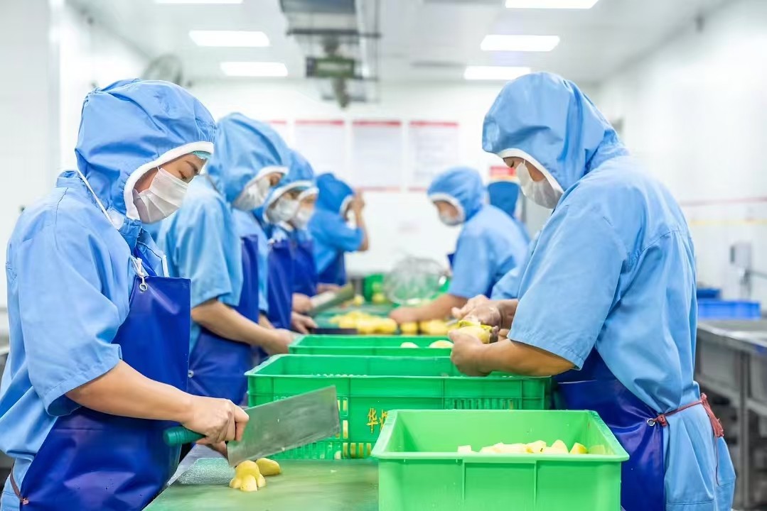 中央厨房餐具用消毒房设备投资多少钱？