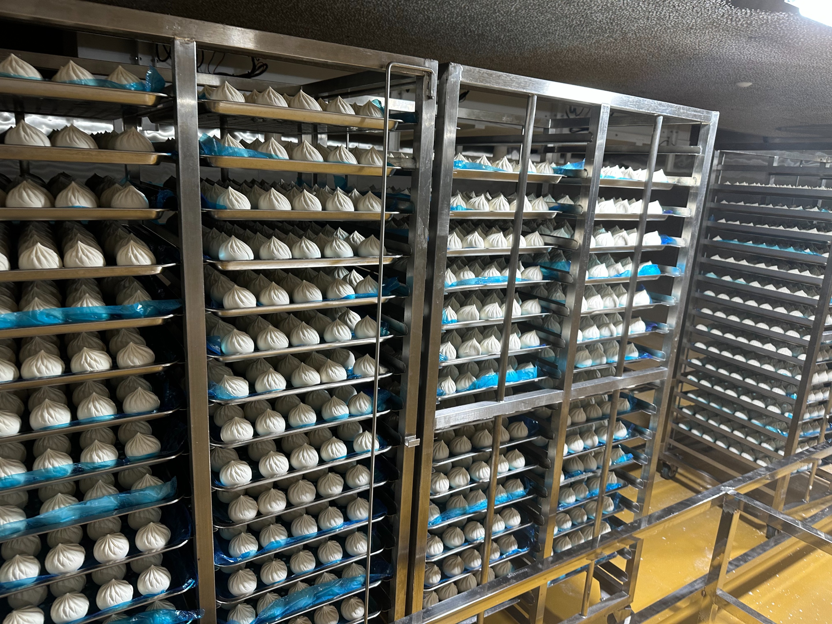 关于馒头醒发房的常见疑问