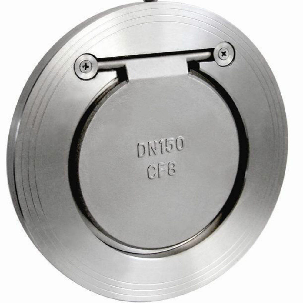 Ductile Iron Carbon Steel pn16 Ansi 150Single Disc Door CheckVvalve