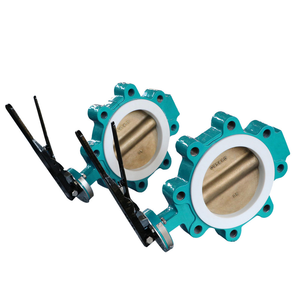 Anti-Corrosion ss304 Ductile Iron Carboon Steel PTFE lined butterfly valve