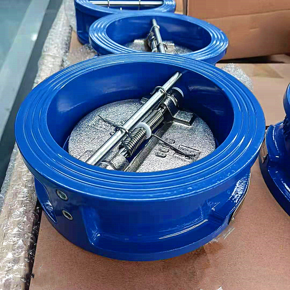 ANSI DIN PN16 JIS Standard Ductile Iron Carbon Steel WCB SS304 Duo Wafer Type Butterfly Dual check valve