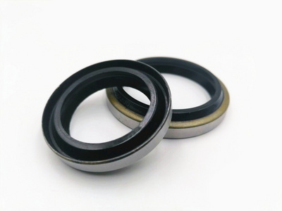 DKB Wiper seal