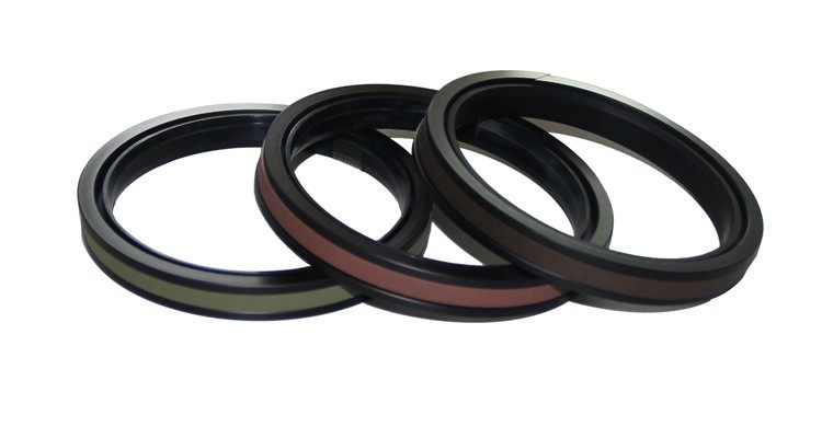 SPGW PISTON SEAL