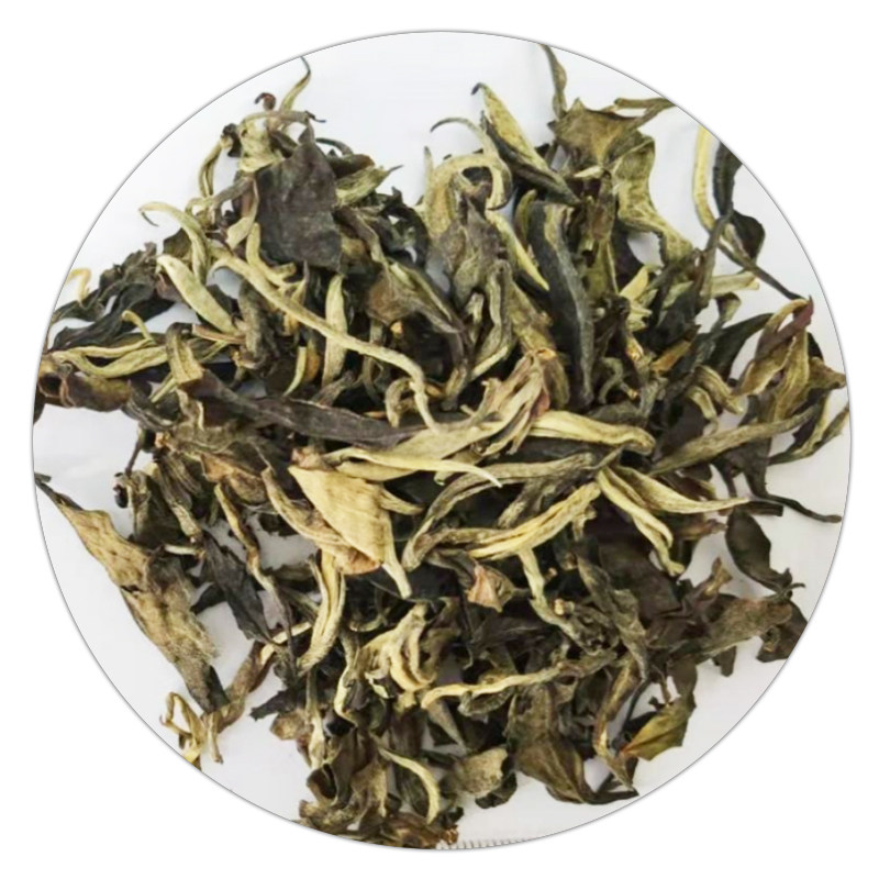 White tea Yue Guang Bai