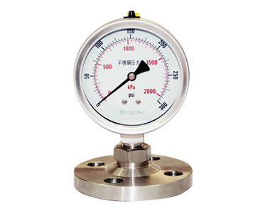 YTP系列隔膜压力表