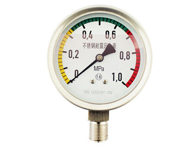 YTN系列耐震压力表