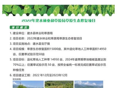 建水县2022年草原生态修复项目完成万亩级治理任务