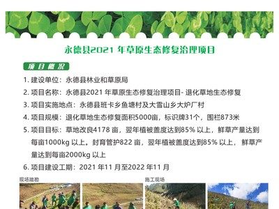 永德县2021年草原生态修复治理项目形成可复制治理样板