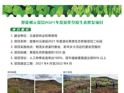 元谋县2021年度退化草原生态修复项目稳步推进并通过阶段验收