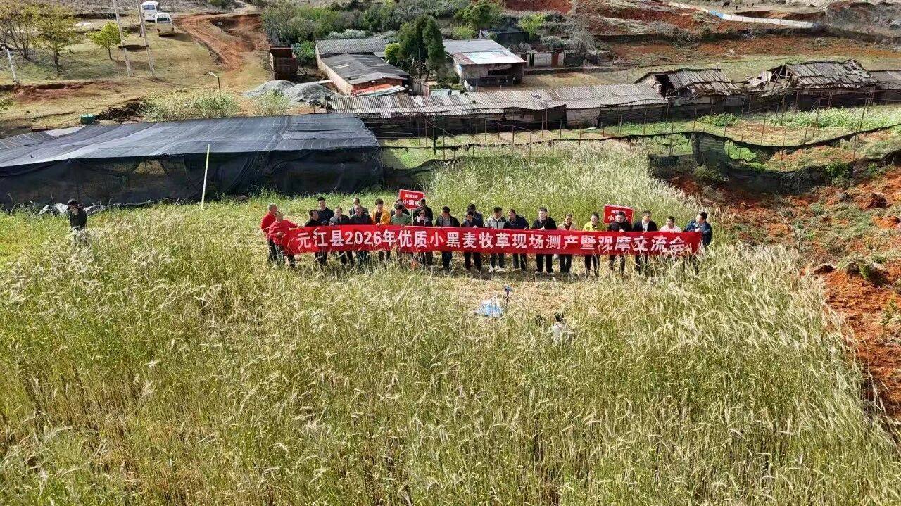 元江县农业农村局联合云南佳川农业公司，成功举办“2026年优质饲草种植技术与种植模式暨基层动物卫生监督能力提升培训班”