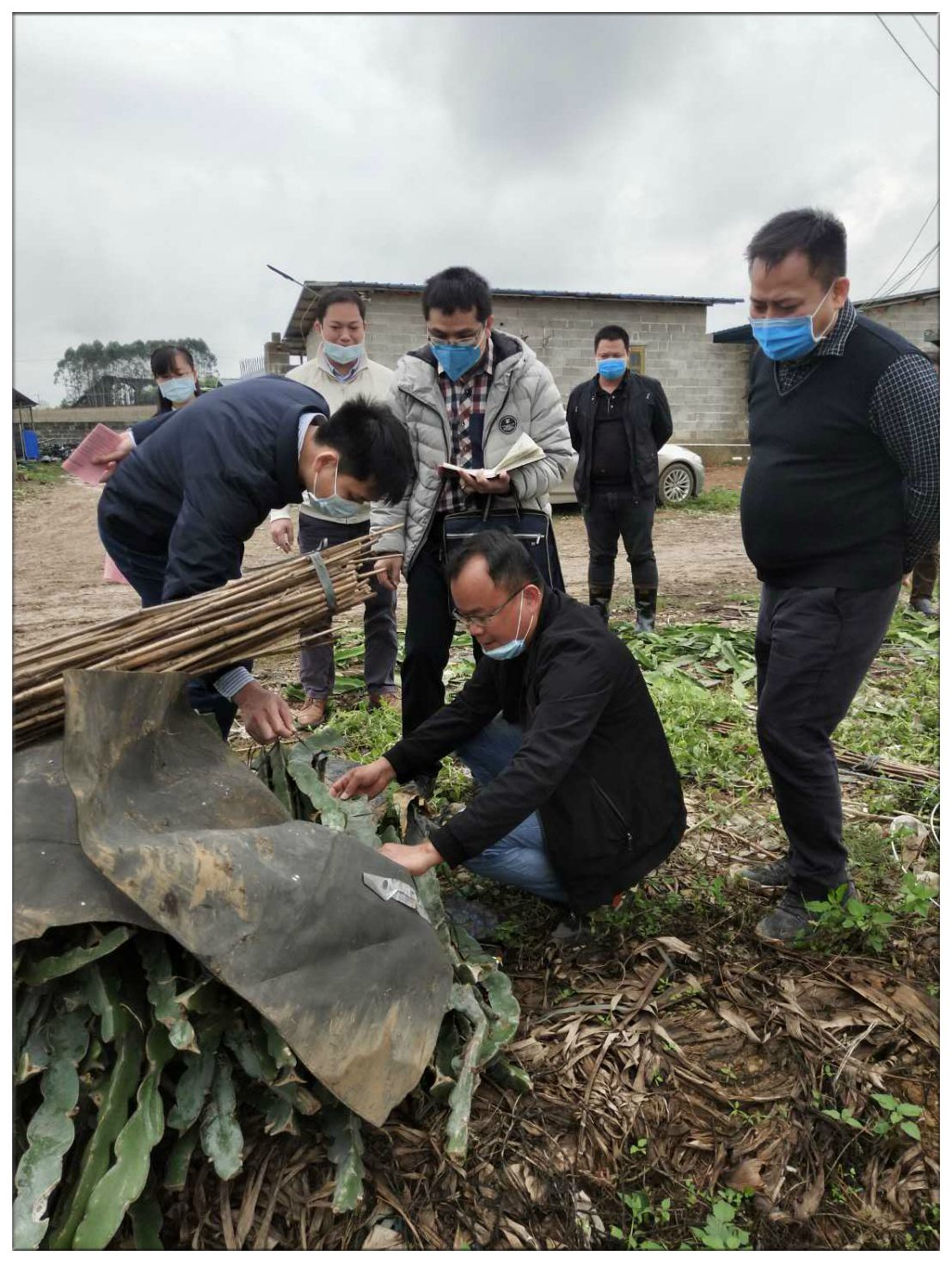 隆安县委组织部长何华青那桐镇书记梁福勇检查新基地党建工作