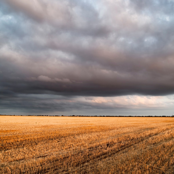 洪涝来袭教你控制好雨后易发病害