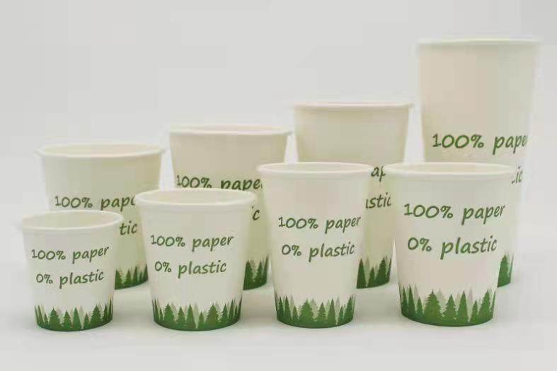 Disposable Single wall paper cup coated PE PLA no plastic