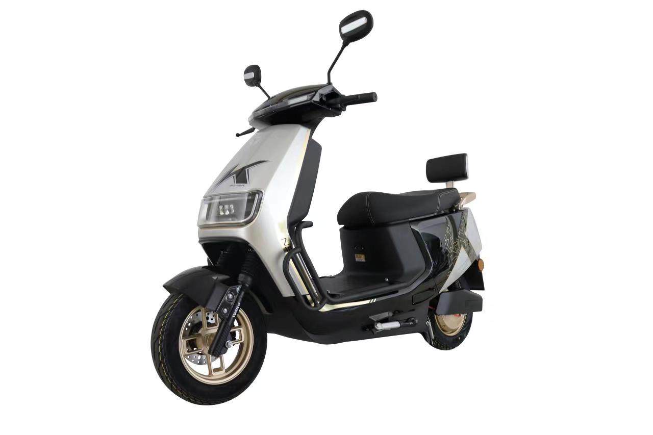 YYD-01 E-MOPED