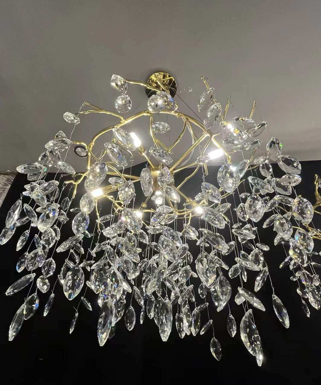 Chandeliers 15