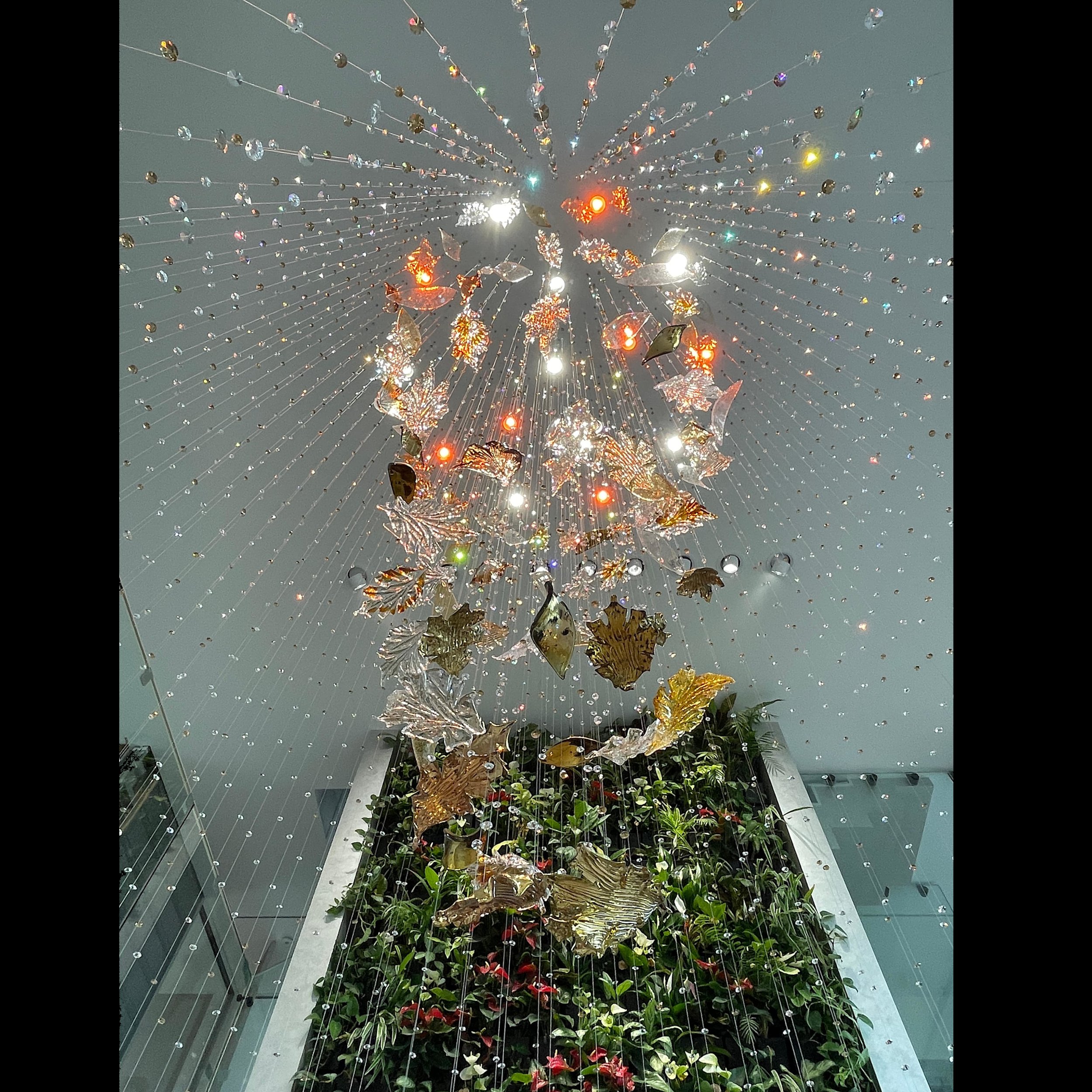 DZ220