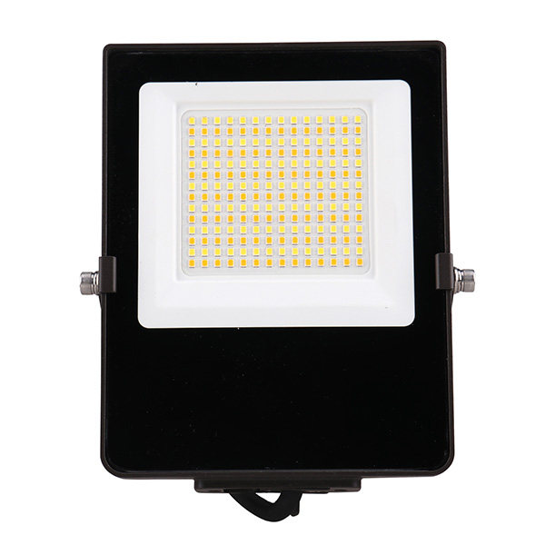 LED Flood Light