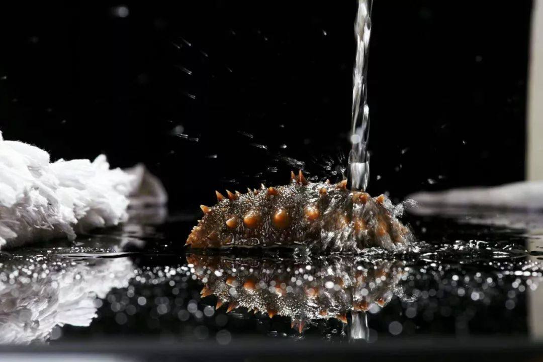 海参咋吃？进来看看就知道/广东金辛医药生物科技有限公司