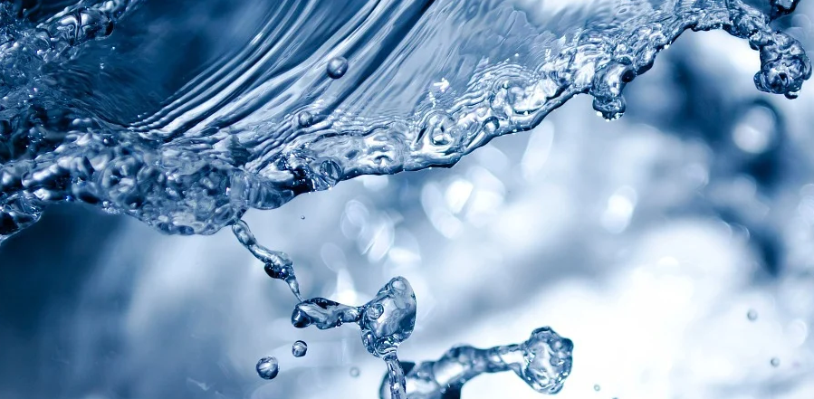 广东金辛医药生物科技有限公司官网/透明质酸钠的功能及在食品中的应用