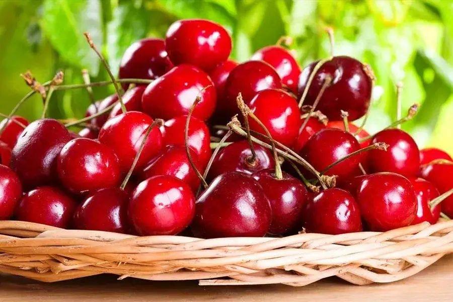 广东金辛医药生物科技有限公司官网/天然VC天花板-针叶樱桃